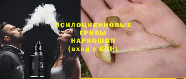 героин Лагань
