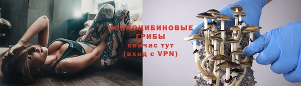 а пвп мука Ладушкин